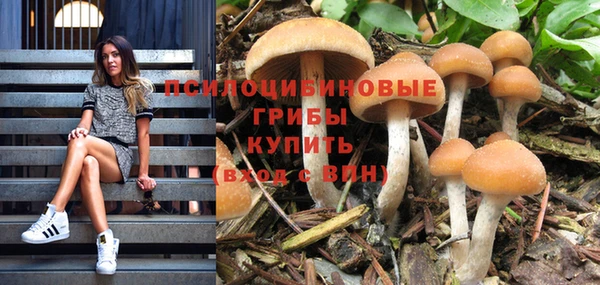 бошки Карталы