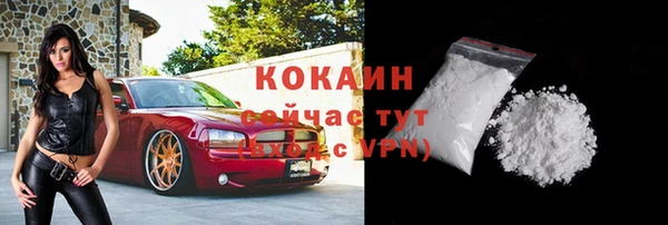 ГАЛЛЮЦИНОГЕННЫЕ ГРИБЫ Касимов