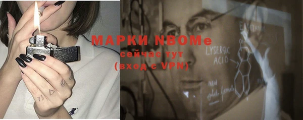 молекула духа Карпинск