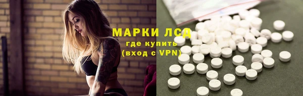 ГАЛЛЮЦИНОГЕННЫЕ ГРИБЫ Касимов