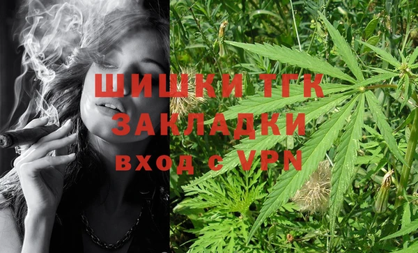 молекула духа Карпинск