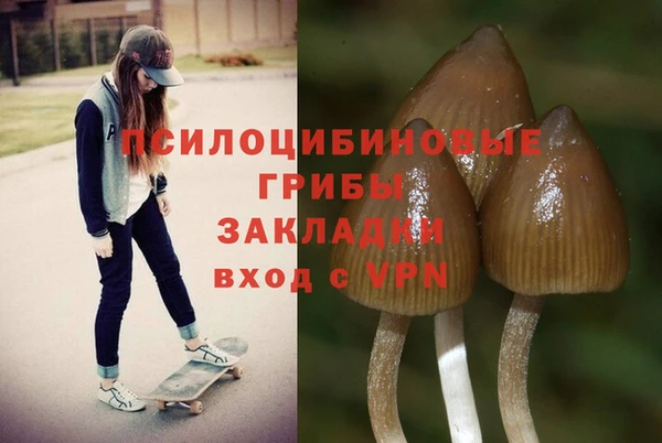 ГАЛЛЮЦИНОГЕННЫЕ ГРИБЫ Касимов
